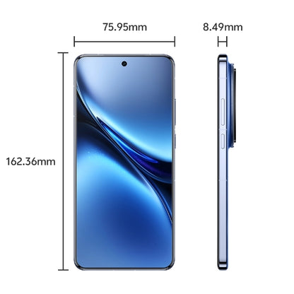 vivo X200 Pro Satellite Communication Edition, 16GB+1TB, Face ID / Screen Fingerprint Identification, 6.78 inch Android 15 Dimensity 9400 Octa Core, OTG, NFC, Network: 5G, Support Google Play, X200 Pro  Satellite, 16GB+1TB